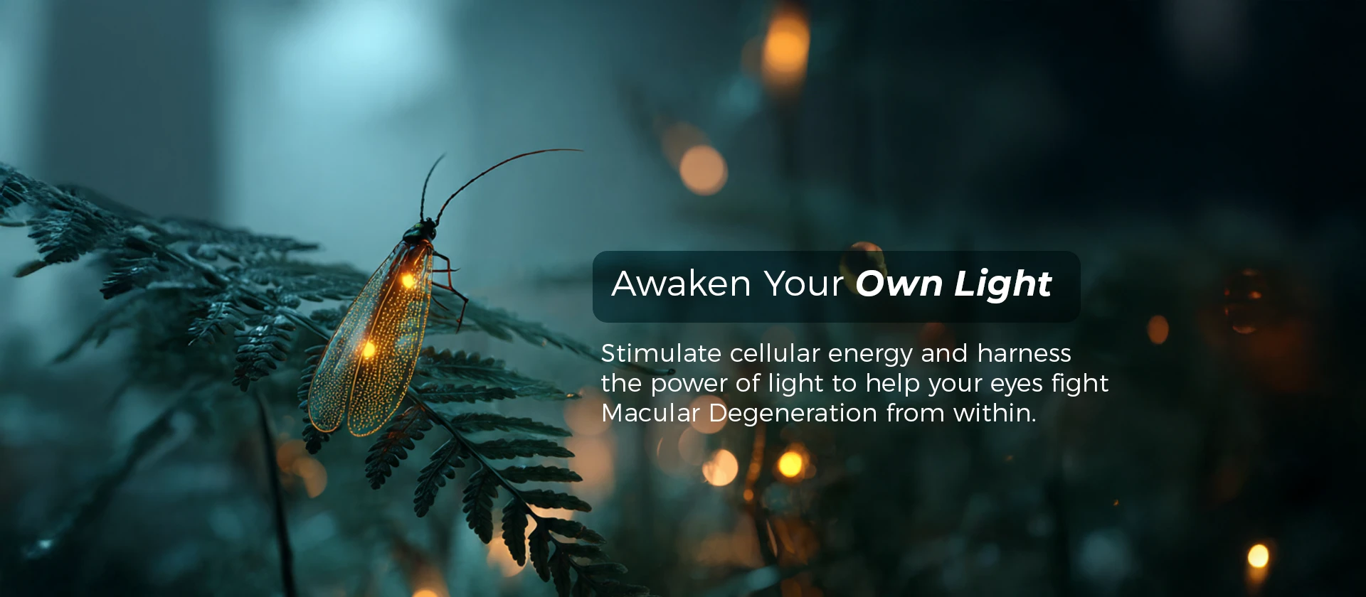  Pendik Eye Hospital | Istanbul Sistem Eye Center