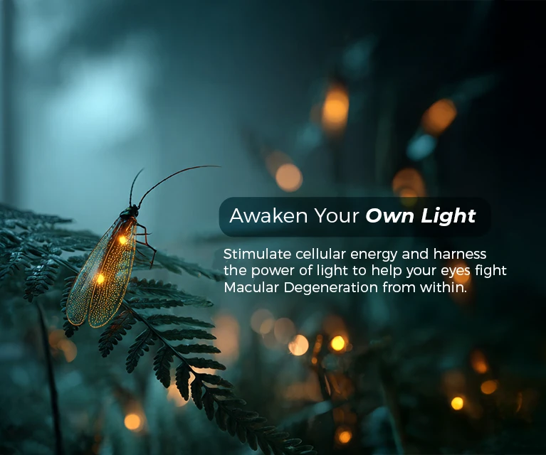  Pendik Eye Hospital | Istanbul Sistem Eye Center