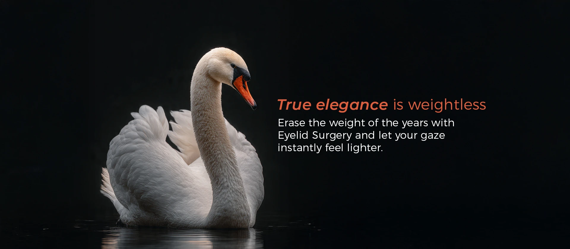  Pendik Eye Hospital | Istanbul Sistem Eye Center