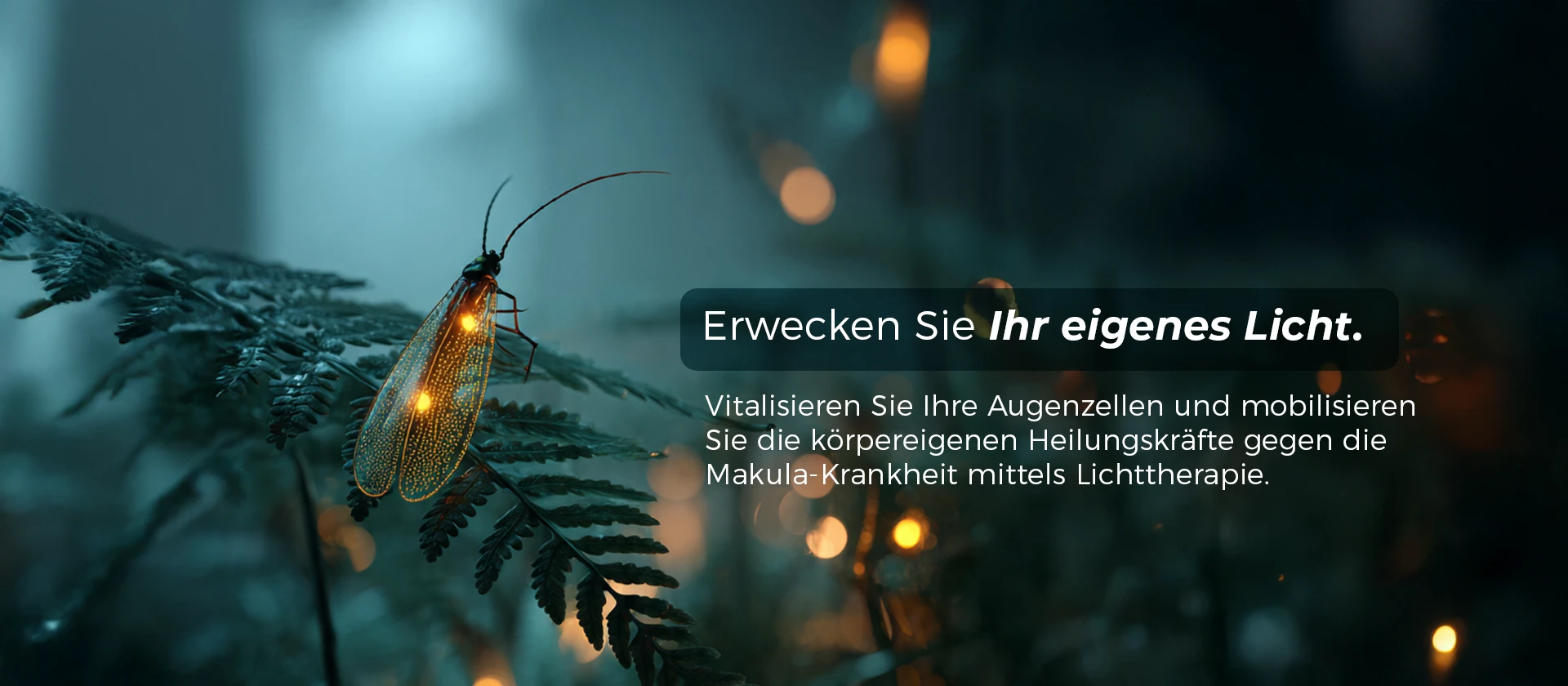  Pendik Augenklinik | Istanbul Sistem Augenzentrum