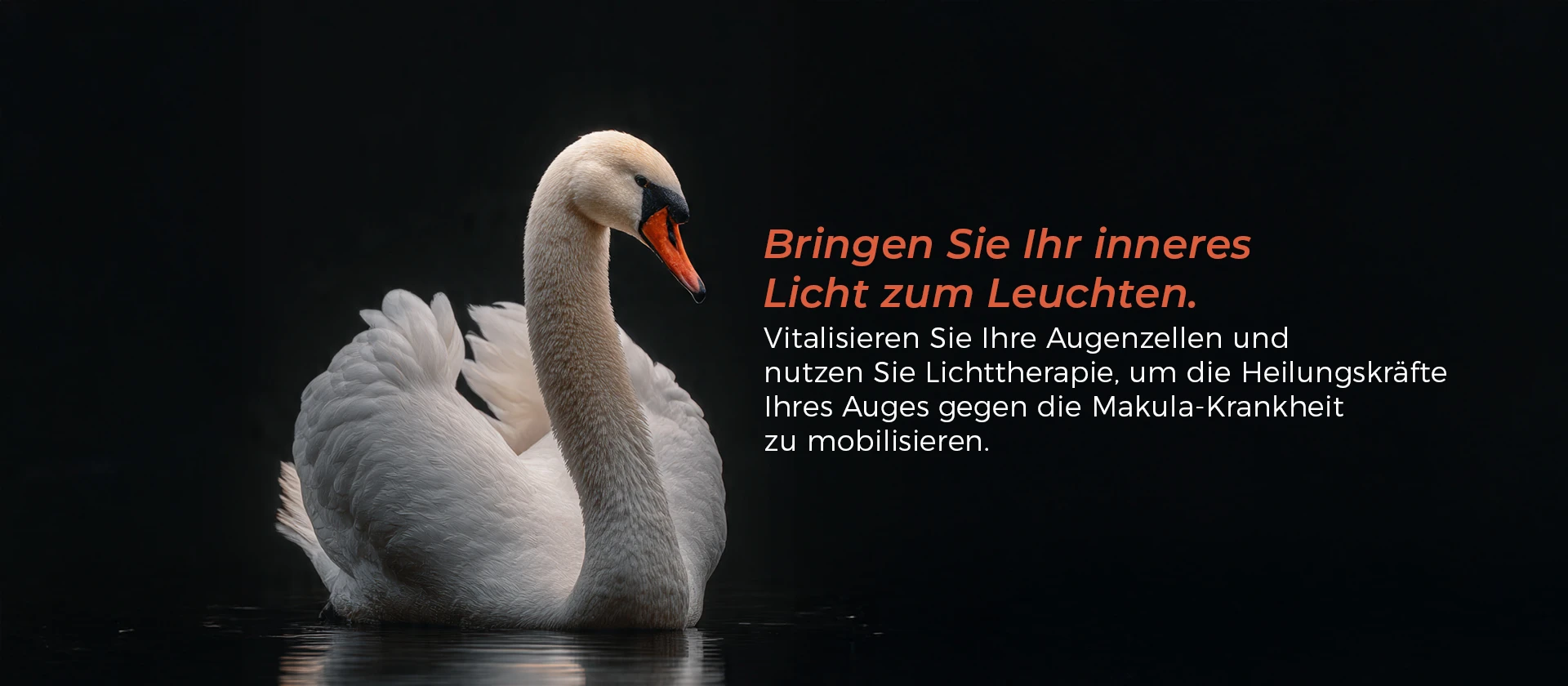  Pendik Augenklinik | Istanbul Sistem Augenzentrum