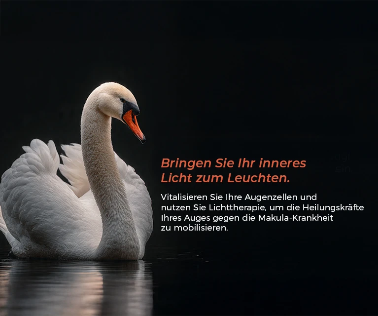  Pendik Augenklinik | Istanbul Sistem Augenzentrum