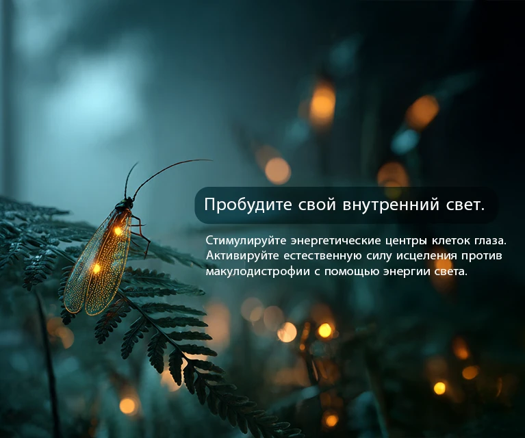  Глазная больница Пендик | Стамбульский центр Sistem Eye