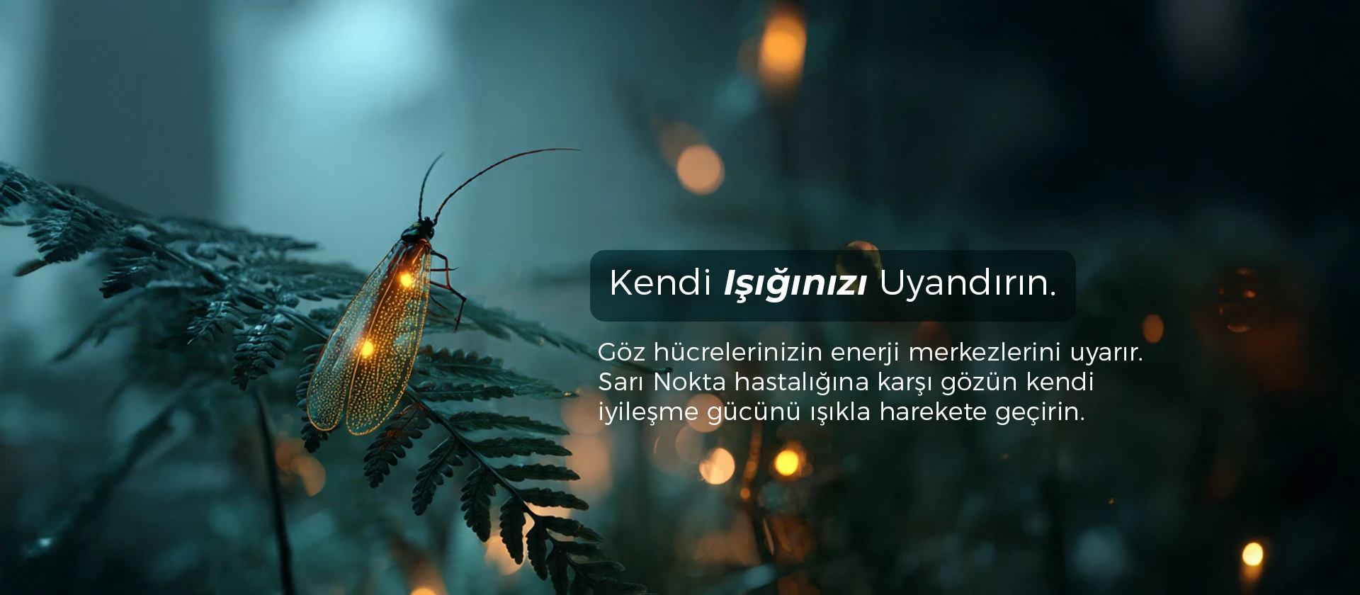  Pendik Göz Hastanesi | İstanbul Sistem Göz Merkezi