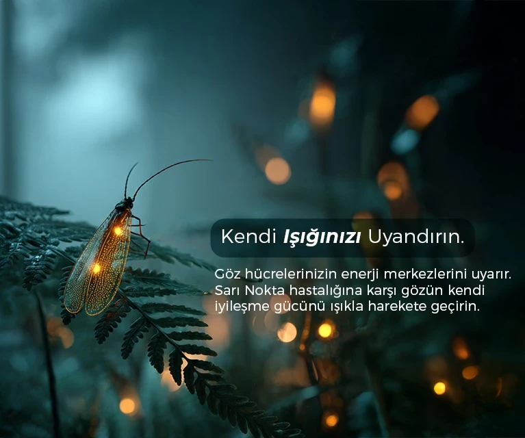  Pendik Göz Hastanesi | İstanbul Sistem Göz Merkezi